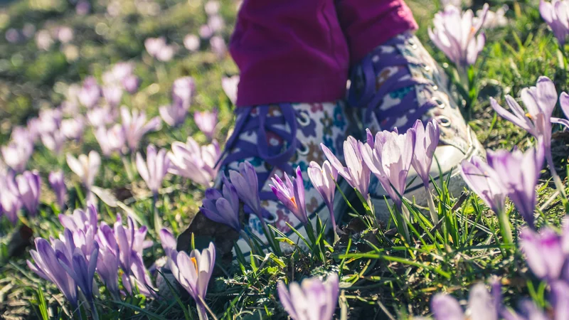 Fotografija: To je bila takrat tako silna želja, ti copati, takšna (sicer draga) malenkost, na katero se še danes z veseljem spomnim. FOTO: Anja Intihar