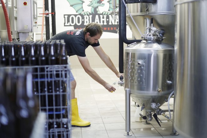 V posebni napravi, imenovani propagator, namnožijo hišni kvas za uporabo pri proizvodnji angleških stilov piva. FOTO: Leon Vidic