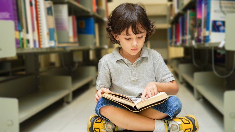Fotografija: Dejstvo, da smo obdani s knjigami, blagodejno vpliva na odrasle, še bolj pa na otroke.
FOTO: Shutterstock