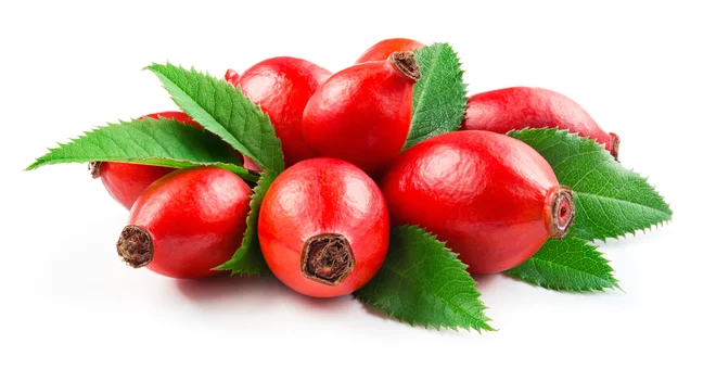 Šipkov čaj je bogat z vitaminom C. FOTO: Shutterstock