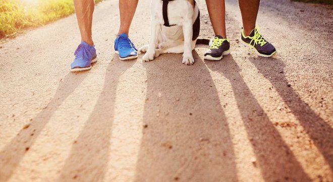 Ampak včasih nam gre cel svet na živce in nikakor nismo pri volji, da bi poklicali svojega tekaškega partnerja. FOTO: Shutterstock
