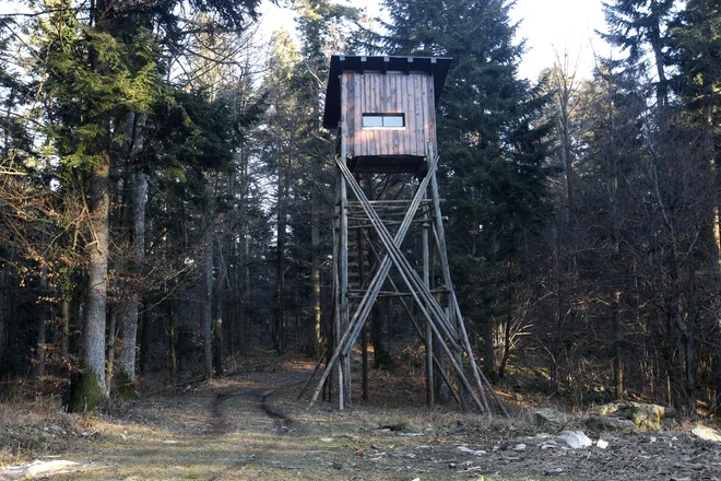 V Lovski zvezi Slovenije imajo ničelno toleranco do nezakonitega lova, še piše v članku. Jasno je, zakaj: kar jim krivolovci jemljejo lovske užitke. Foto Mavric Pivk