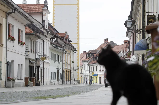 FOTO: Mavric Pivk