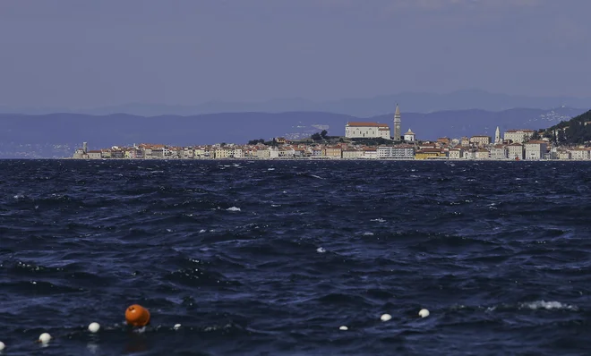 FOTO: Jože Suhadolnik/Delo
