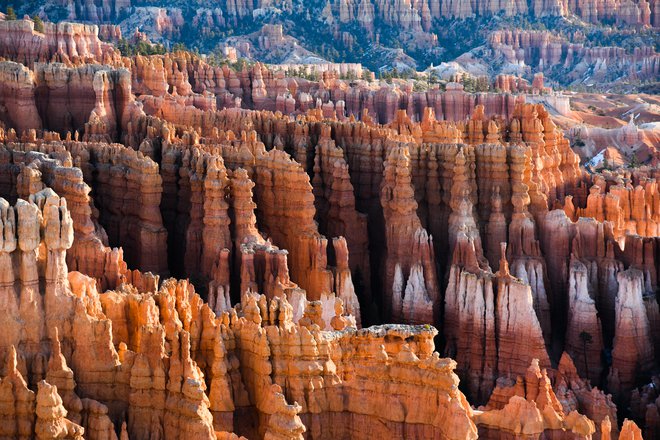 Značilno podobo kanjona Bryce ustvarjajo številni špičasti stolpiči. FOTO: Shutterstock
