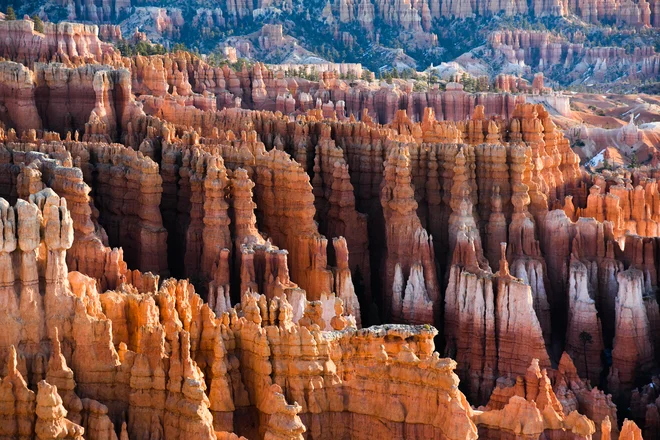 Značilno podobo kanjona Bryce ustvarjajo številni špičasti stolpiči. FOTO: Shutterstock
