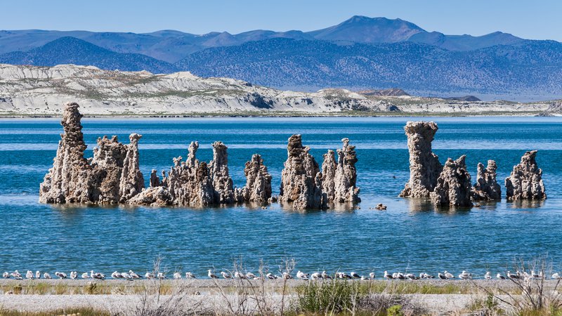 Fotografija: Nenavadna pokrajine je nastala na območju jezera Mono. FOTO: Shutterstock