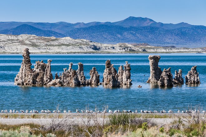 Nenavadna pokrajine je nastala na območju jezera Mono. FOTO: Shutterstock