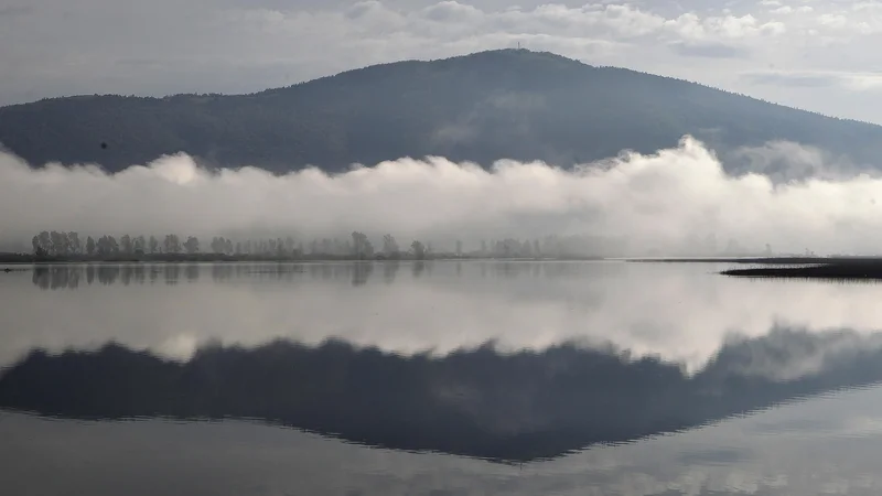 Fotografija: Postavimo lahko zelo verjetno domnevo, da bi zanimanje za paliativo med tistimi, ki so zanjo odgovorni, opazno upadlo, če bi razprava o končanju pojenjala. FOTO: Mavric Pivk