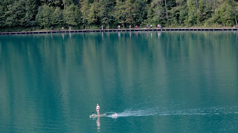 Fotografija: Po dveh dneh sem se skobacala na sup. Če bi napisala, da sem nanj skočila elegantno kot srna, bi bila to velika laž. FOTO: Mavric Pivk/Delo