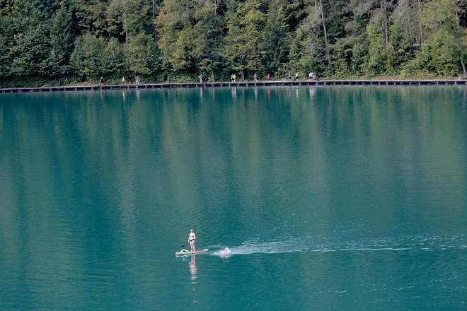 Po dveh dneh sem se skobacala na sup. Če bi napisala, da sem nanj skočila elegantno kot srna, bi bila to velika laž. FOTO: Mavric Pivk/Delo