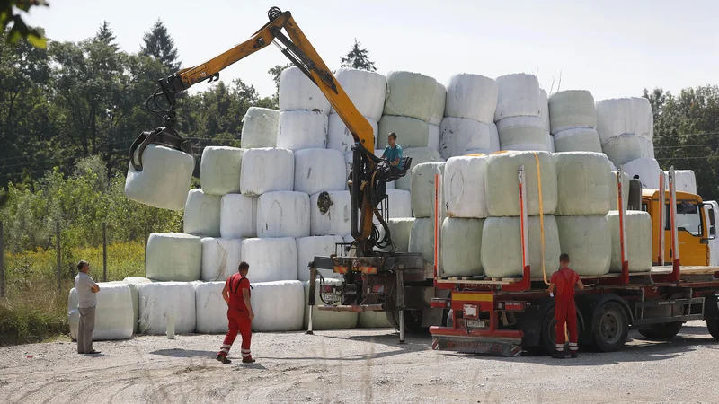 Fotografija: Publikus je začel odvažati bale odpadne plastike, ki jih je navozil blizu vasi Študa in Mala Loka. FOTO: Leon Vidic