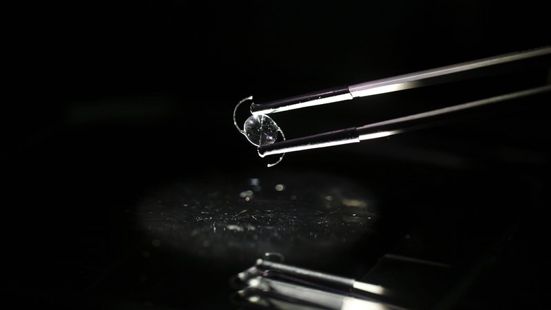 Fotografija: Leče lahko razpadejo na mikrodelce. FOTO: Navesh Chitrakar/Reuters