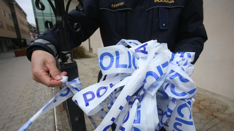 Fotografija: Ob vlomu pokličite policiste in pustite, da ti opravijo svoje delo.
FOTO: Tadej Regent/Delo