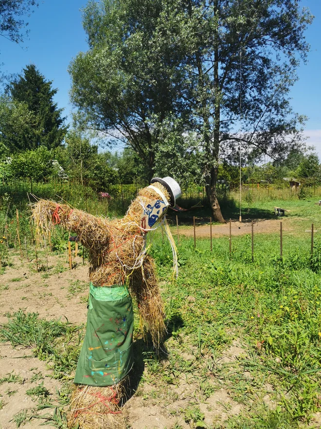 Postavili so tudi strašilo. FOTO: Lucijan Zalokar/Delo