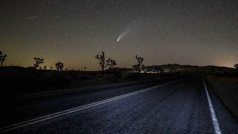 Fotografija: Planet Zemlja je bil v mesecih ustavitve javnega življenja tako miren kot še nikoli doslej, odkar opravljajo meritve. FOTO: Rich Fury/AFP