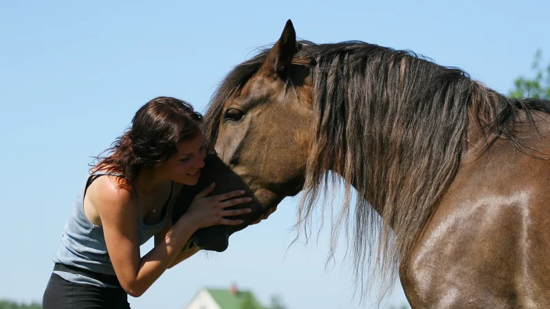 Fotografija: V resnici obstaja živalski povod za humanost. To je tisto, ko vas pokliče samo življenje, ko je za vas pomembno slišati utrip srca v prsih nemočne ptice. FOTO: Shutterstock