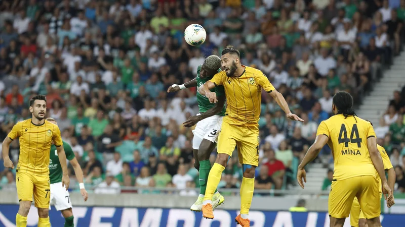 Med klubi, ki so se razveselili povečanja lige, je tudi Malatyaspor, ki je lansko poletje srečno izločil Olimpijo v kvalifikacijah za evropsko ligo, potem pa je v domačem prvenstvu sledil razpad.&nbsp; FOTO: Leon Vidic/Delo