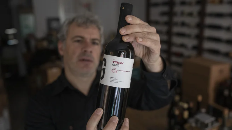 Fotografija: V kabinetu premiera ne komentirajo morebitnega umika tožbe Slovenije proti evropski komisiji glede zaščite terana. Izjem, kakršno je dovolila evropska komisija v primeru teran, sicer potrošnik ne razlikuje in je lahko zaveden.
FOTO: Voranc Vogel/Delo