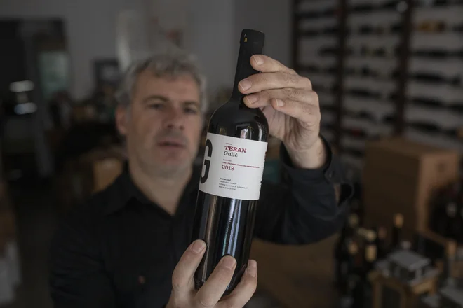 V kabinetu premiera ne komentirajo morebitnega umika tožbe Slovenije proti evropski komisiji glede zaščite terana. Izjem, kakršno je dovolila evropska komisija v primeru teran, sicer potrošnik ne razlikuje in je lahko zaveden.
FOTO: Voranc Vogel/Delo
