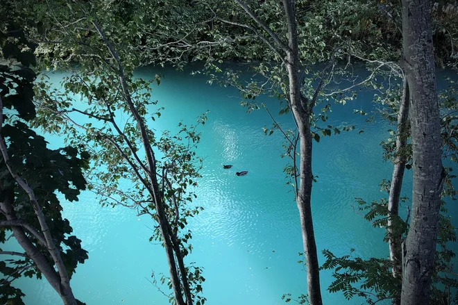 Vzrok onesnaženja Soče za zdaj ni znan. <em>(Fotografija je simbolična.)</em> FOTO: Jure Eržen/Delo
