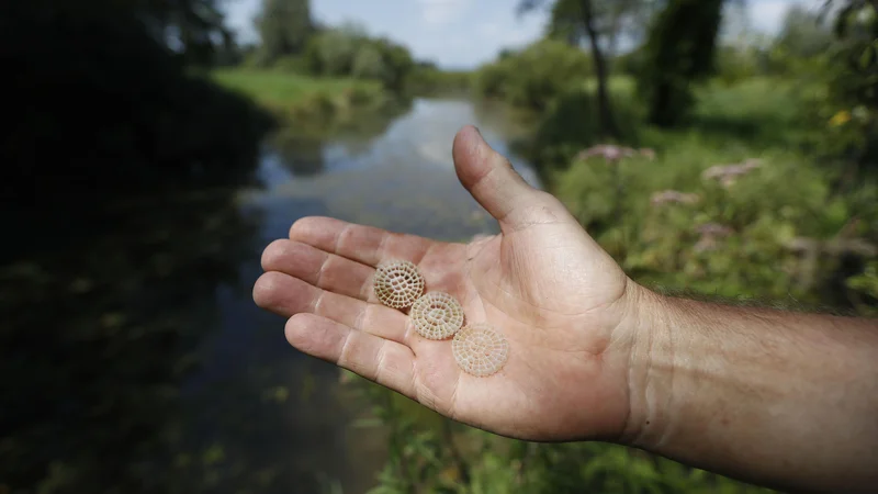 Fotografija: Plastični delci se uporabljajo za pospešitev čiščenja odpadnih vod. FOTO: Leon Vidic/Delo