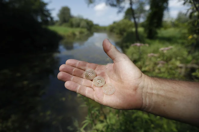 Plastični delci se uporabljajo za pospešitev čiščenja odpadnih vod. FOTO: Leon Vidic/Delo