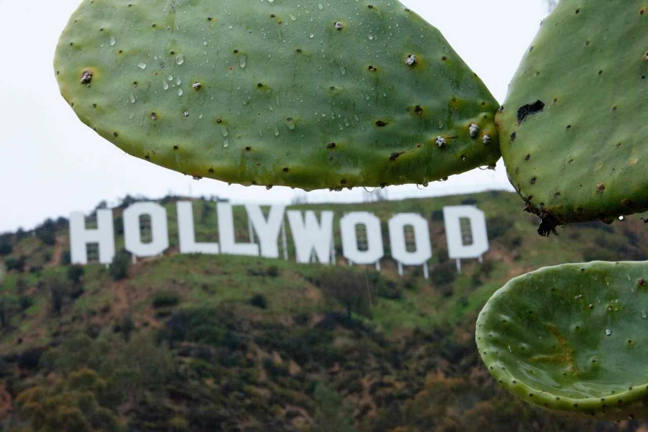 Fotografija: Hollywood je ob novi ameriški kulturni revoluciji videti zmeden. FOTO: Konrad Fiedler/AFP