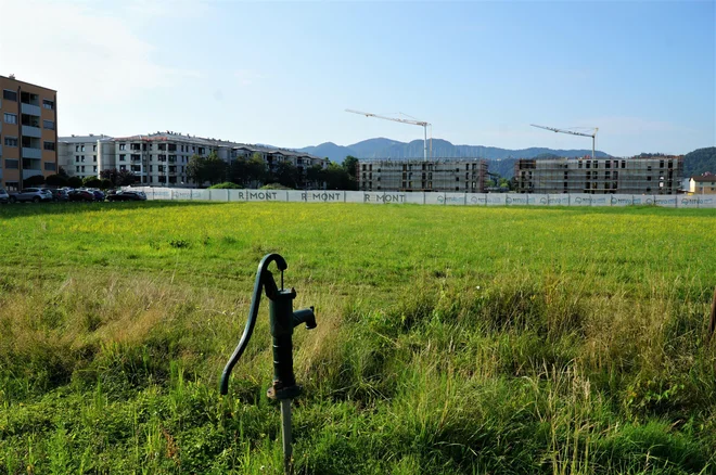 V stanovanjski soseski Dečkovo naselje raste šest stanovanjskih blokov, kar bo stalo 14 milijonov evrov. FOTO: Brane Piano
