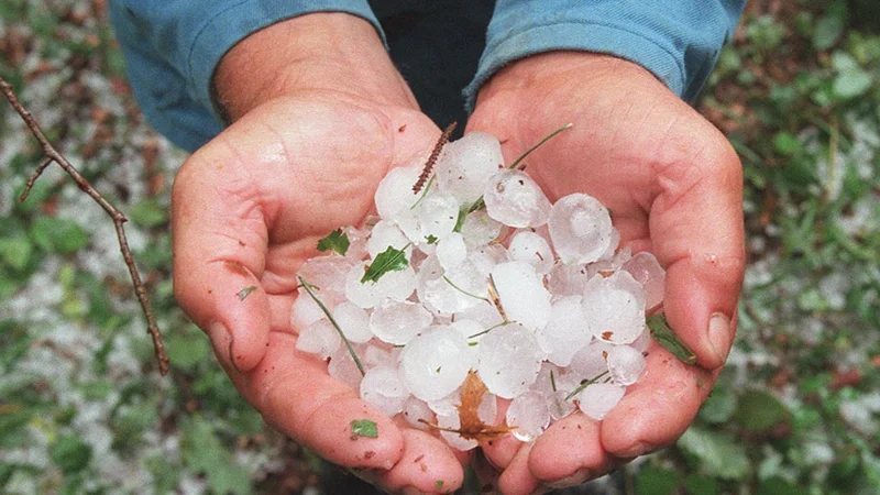 Fotografija: Toče bo po vseh napovedih več in povzročala bo večjo škodo.
FOTO: Igor Modic/Delo