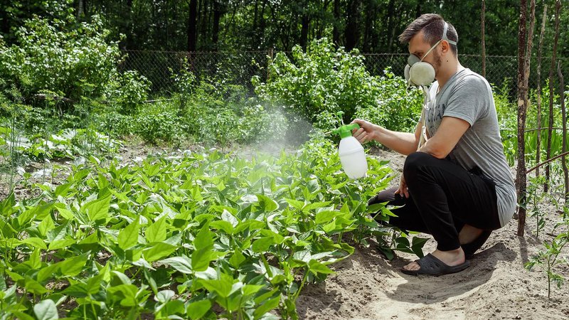 Fotografija: Eden od ciljev je, da bi se neprofesionalno lahko uporabljali le pesticidi, registrirani v ekološki pridelavi. FOTO: Shutterstock