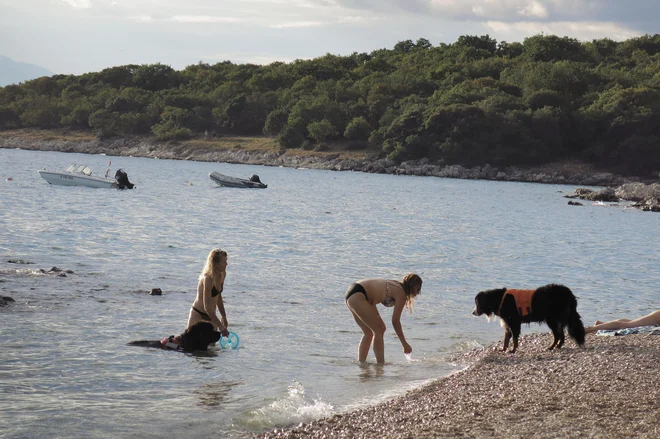 Najbolj oblegane turistične točke so letos otok Vir, Rovinj, Medulin, Crikvenica in Poreč. FOTO: Leon Vidic/Delo