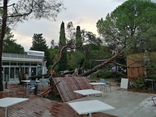 Nevihta na plaži v Strunjanu. FOTO: Lari Lehpamer