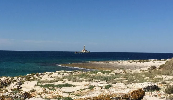 Tja do Brestove si turistična naselja slede drugo za drugim, potem pa se obala postavi strmo pokonci in vse skupaj postane hudo samotno. FOTO: Janez Mihovec