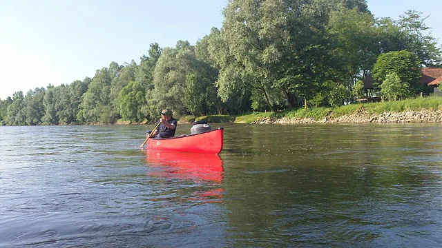 V okviru projekta Natura Mura bodo poskušali izboljšati življenjske razmere za rastline, živali in ljudi. Foto Bakal Oste