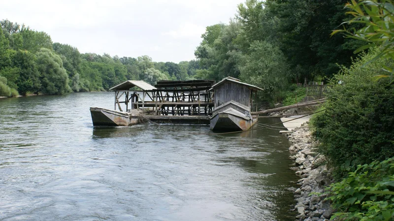 Fotografija: Zaradi hidroelektrarn v Avstriji nastaja škoda na toku Mure v Sloveniji. Njena največja težava je poglobitev struge. Foto Bakal Oste