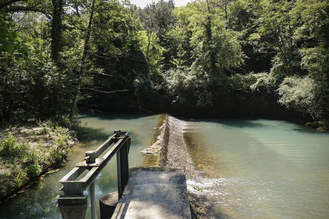 Vodno zajetje Rižana. FOTO: Uroš Hočevar/Delo