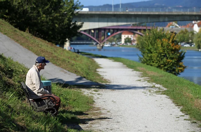 Kolesarske steze ob Dravi ponekod so, drugod jih pa ni. Foto Tadej Regent