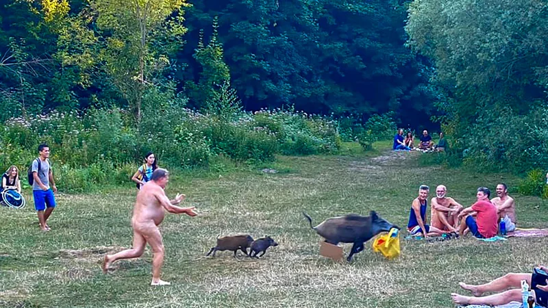 Fotografija: Gol moški teče za divjim prašičem, ki mu je ukradel prenosni računalnik, ob jezeru Teufelssee, priljubljenem kraju za nudiste na obrobju Berlina. FOTO: Adele Landauer/Afp