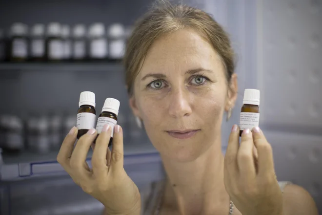 Blanka Ravnjak s semeni avtohtonih rastlin iz trajne semenske banke. FOTO: Jure Eržen/Delo