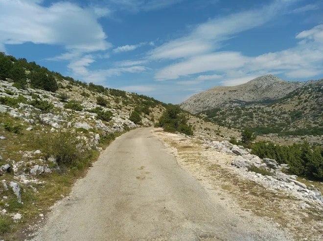 Lepa in obupna cesta hkrati. FOTO: MB. Cvjetičanin