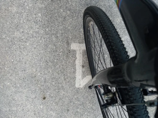 Zadnji kilometer vzpona. FOTO: MB. Cvjetičanin