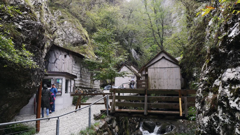 Fotografija: Zgodba o bolnici Franji pripoveduje o neprekosljivem pogumu, vdanosti, srčnosti in pripravljenosti pomagati sočloveku. FOTO: Dejan Javornik/Delo