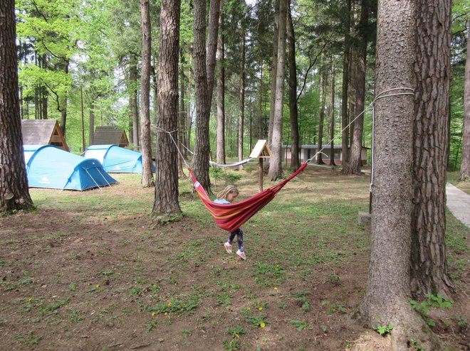 V Gozdni šoli lahko sredi gozda tudi počivate v viseči mreži. FOTO: Špela Kuralt/Delo