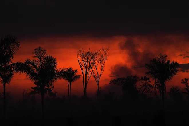 Požar, ki so ga nezakonito podtaknili na koruznem polju, se je razširil v rezervat deževnega pragozda, v Sinopu, v brazilski zvezni državi Mato Grosso. FOTO: Carl De Souza/Afp