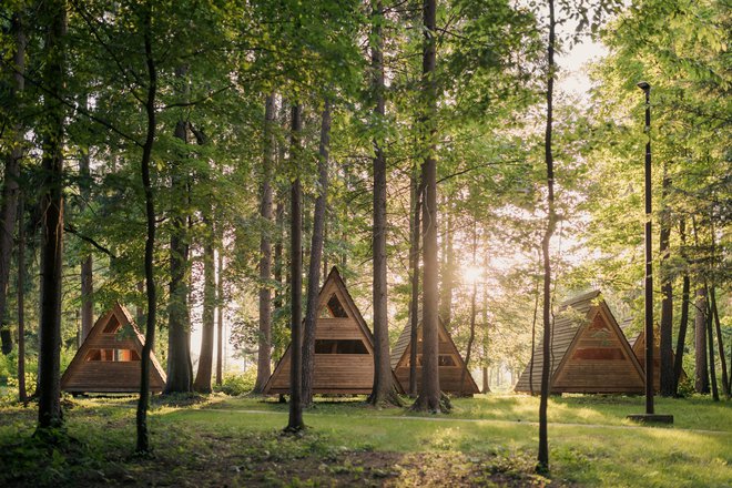 Posebnost kampa so gozdne hiške, ki so jih letos opremili tudi z elektriko. FOTO: Andrej Lamut