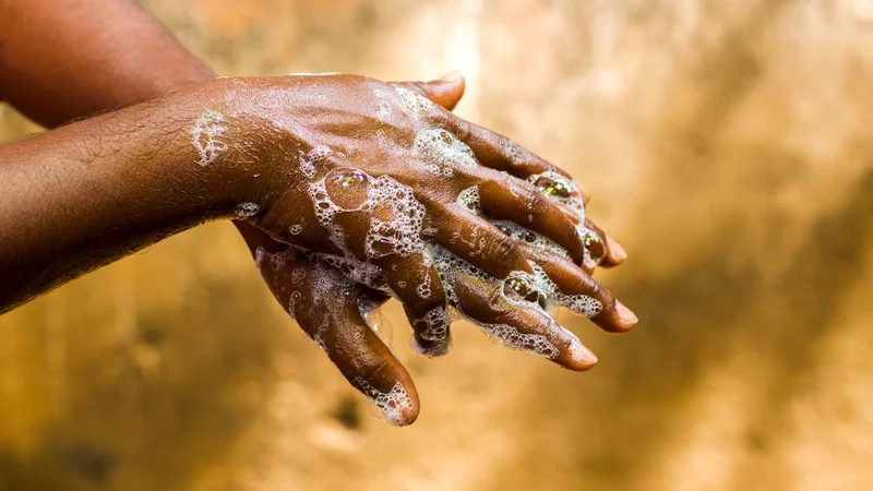 Fotografija: FOTO: avijit bouri / Shutterstock