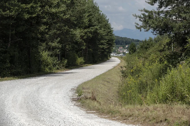 Sedanja pot v Črnučah je makadamska, za asfaltiranje pa ni bilo izdano vodno soglasje. FOTO: Uroš Hočevar/Delo