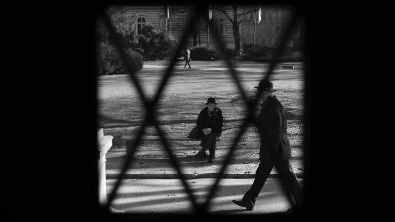 Fotografija: Vzdržljive živali smo – precej bolj, kot si mislimo. FOTO: Tomi Lombar/Delo