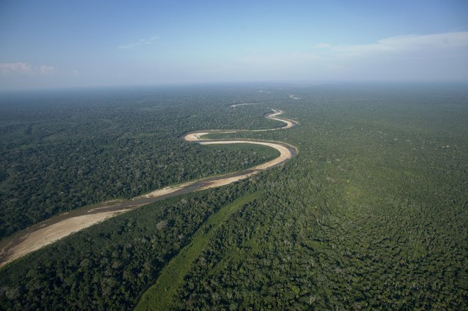 Ob Amazonki so posekali osem odstotkov manj gozda. Foto: Š Ho New/Reuters Reuters Pictures